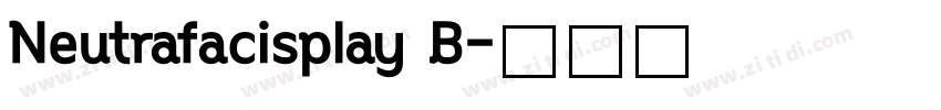 Neutrafacisplay B字体转换